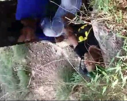 College Indian lovers Jungle chudai